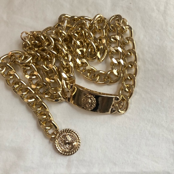 Chain Belt - Picture 2 of 2